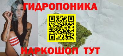 шишки Пушкино