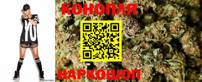 шишки Пушкино