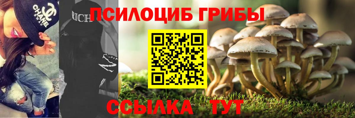 Галлюциногенные грибы Magic Shrooms  закладка  Сорочинск  Вход с VPN 