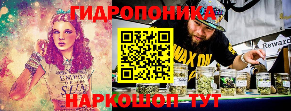Конопля Ganja  Конопля план  Сорочинск  Вход с VPN  Бошки Шишки Bruce Banner 